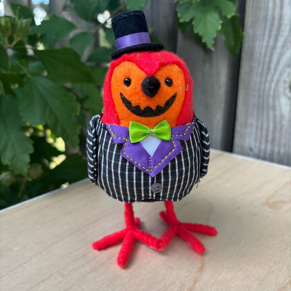 Target Halloween Hyde & Eek 2024 Gourdon Pumpkin Fabric Bird Featherly Friends